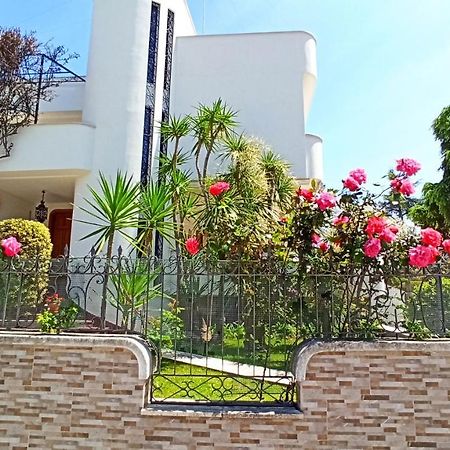 Villa Mary - Apartments 特拉尼 外观 照片